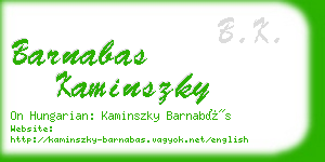 barnabas kaminszky business card